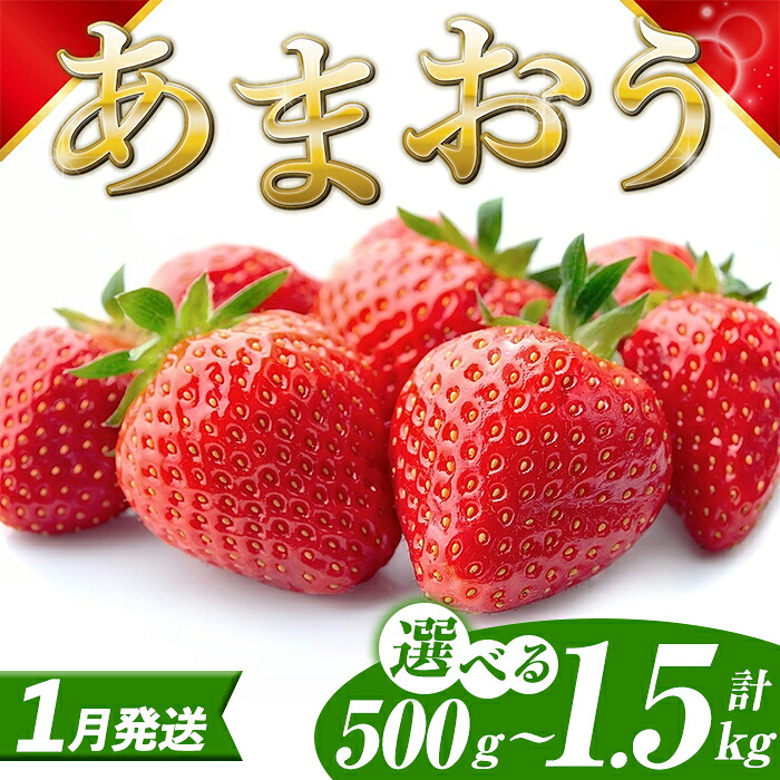 【ふるさと納税】＜先行予約受付中！2027年1月中旬以降順次発送予定＞ ≪容量選べる≫ 福岡県産 あまおう (計500g～1.5kg) いちご イチゴ 苺 ストロベリー 果物 フルーツ おやつ デザート スイーツ 福岡県 小分け アマオウ 1月発送 期間限定 数量限定 冷蔵【エフビーネット】｜福岡県芦屋町
