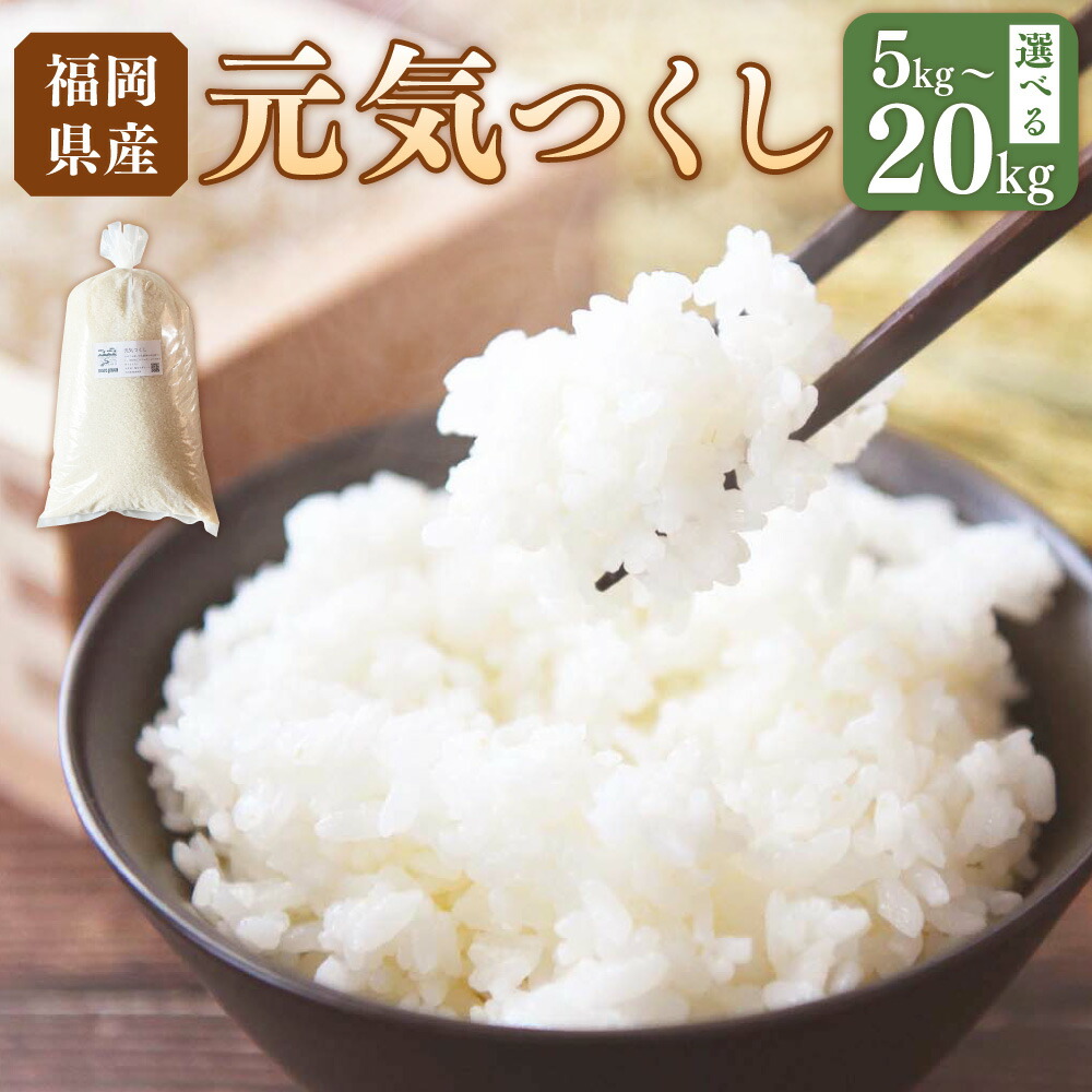 【ふるさと納税】＜選べる内容量・発送月＞ 先行予約 【令和7年産】福岡県ブランド米「元気つくし」5kg/10kg/15kg/20kg コメ 米 お米 白米 精米 ご飯  福岡県 岡垣町 送料無料 【2025年10月下旬より発送開始】