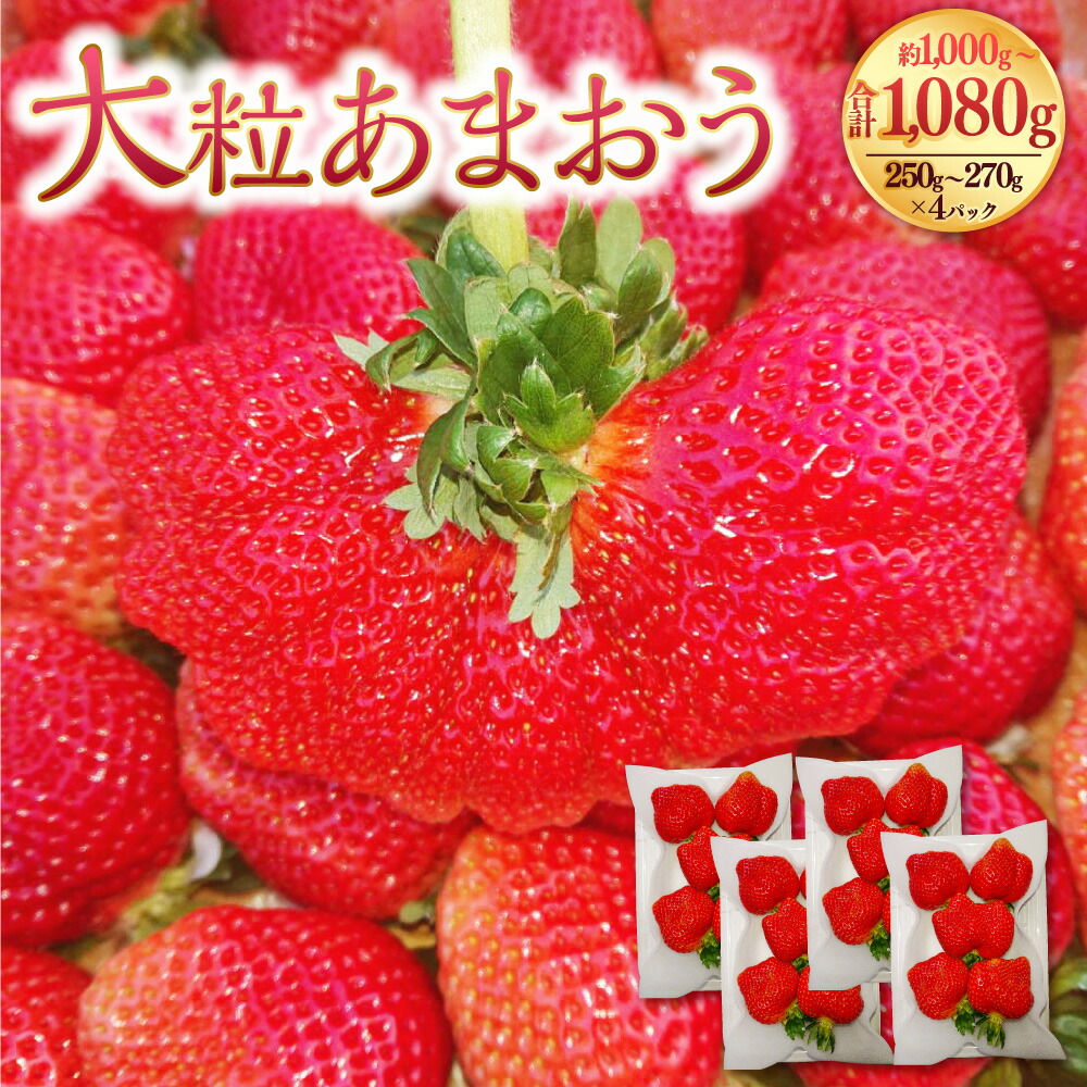 【ふるさと納税】大粒あまおう 約250-270g×4パック 合計約1,000-1,080g あまおう いちご イチゴ 苺 大粒 ストロベリー ベリー フルーツ 果物 旬 冷蔵 福岡県 岡垣町 送料無料 【2026年2月上旬～4月上旬発送予定】