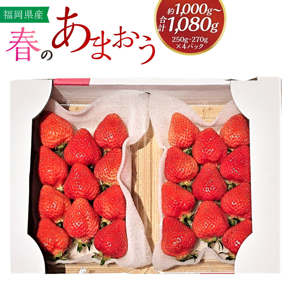 【ふるさと納税】 春のあまおう 2L・2A・G規格以上 約250-270g×4パック 合計約1,000-1,080g あまおう いちご イチゴ 苺 ストロベリー フルーツ 果物 冷蔵 福岡県 岡垣町 送料無料 【2026年3月上旬～4月下旬発送予定】