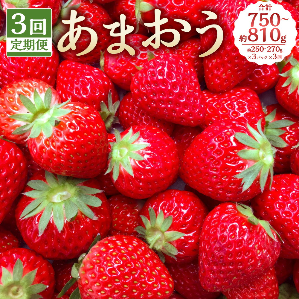 【ふるさと納税】【3回定期便】あまおう 約750-810g（約250-270g×3パック）×3回 合計約2,250-2,430g いちご イチゴ 苺 ストロベリー ベリー フルーツ 果物 旬 冷蔵 福岡県 岡垣町 送料無料 【2026年1月下旬～4月下旬発送予定】
