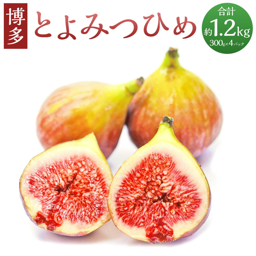 【ふるさと納税】 福岡県ブランド いちじく 博多とよみつひめ 合計 約1.2kg 約300g×4パック いちじく イチジク 無花果 果物 フルーツ お取り寄せ 国産 福岡県 九州 冷蔵 岡垣町 送料無料 【2025年8月下旬～2025年10月下旬発送予定】