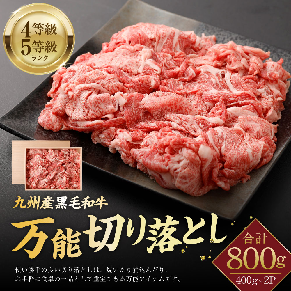 SALE／69%OFF】 九州産黒毛和牛 万能切り落とし 4等級 5等級ランク 800g 400g×2パック お肉 肉 にく 牛肉 牛 切り落とし 国産 牛 国産 九州産 冷凍 送料無料 fucoa.cl