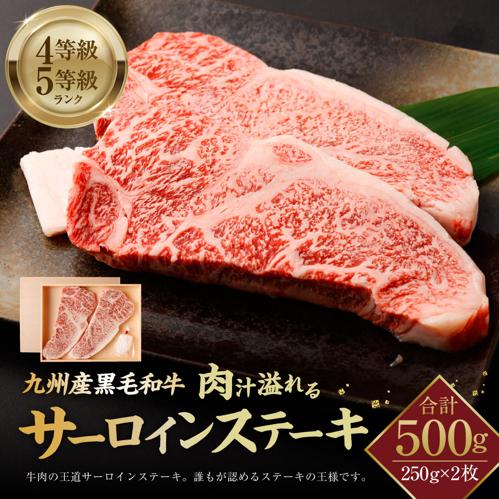 保証書付】 九州産黒毛和牛 肉汁溢れるサーロインステーキ 4等級 5等級ランク 500g 250g×2枚 ステーキ サーロインステーキ お肉 肉 にく  牛肉 牛 国産牛 国産 九州産 冷凍 送料無料 fucoa.cl