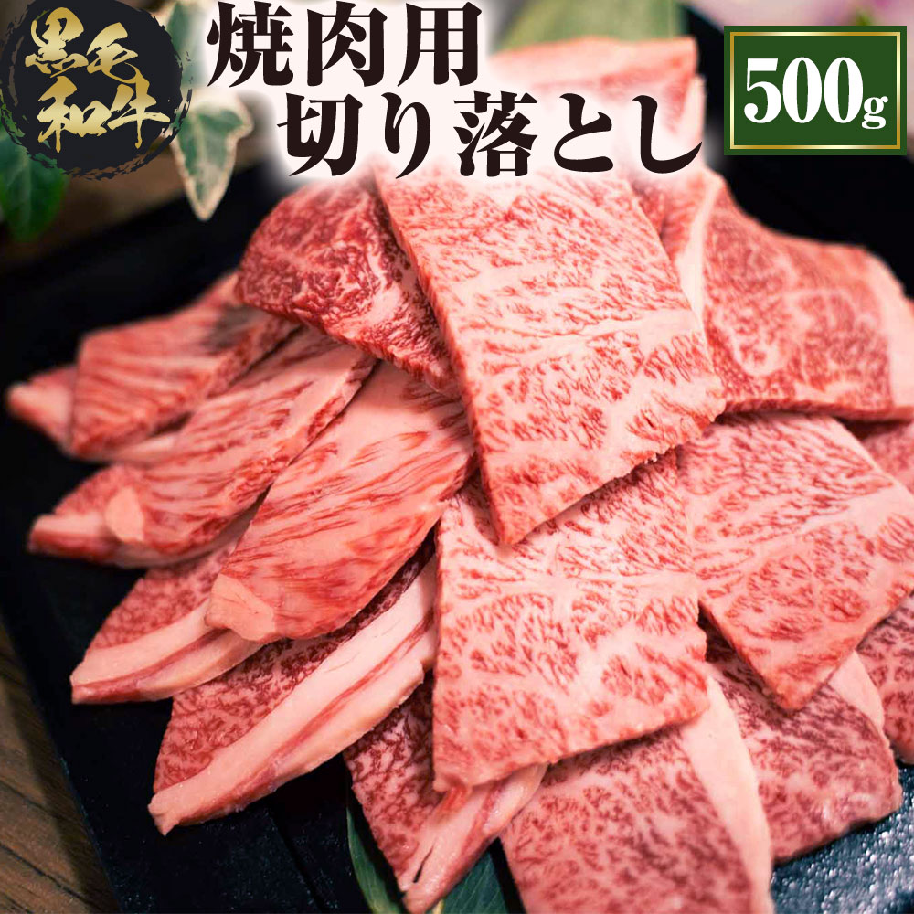 ふるさと納税 福岡県産 黒毛和牛 博多和牛 焼肉用切り落とし 500g a5等級以上 焼き肉 切り落とし 焼肉 スライス 和牛 牛肉 お肉 肉 冷凍 送料無料 Fmcholollan Org Mx