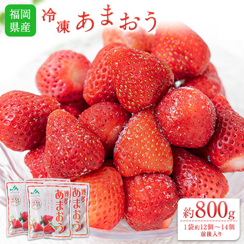 【ふるさと納税】冷凍あまおう 約800g(約200g×4袋) 《1-5営業日以内に出荷予定(土日祝除く)》いちご 福岡県 鞍手郡 小竹町 送料無料