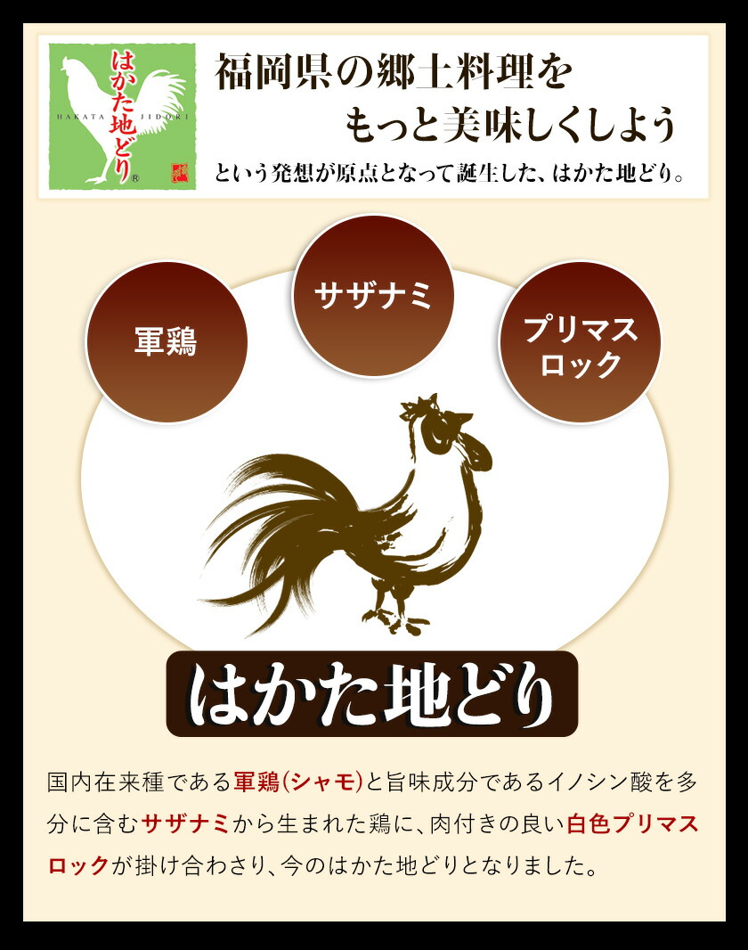 ふるさと納税 福岡県産 土日祝除く サンフーズ はかた地どり水炊き満足セット 30日以内に順次出荷