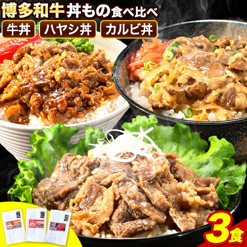 【ふるさと納税】博多和牛 牛丼 ハヤシ丼 カルビ丼 丼ものセット 各 200g x 1パック 600g 清柳食産《30日以内に出荷予定(土日祝除く)》肉 牛肉 和牛 丼 送料無料 鞍手郡 小竹町 お弁当 おかず 小分け パック 冷凍