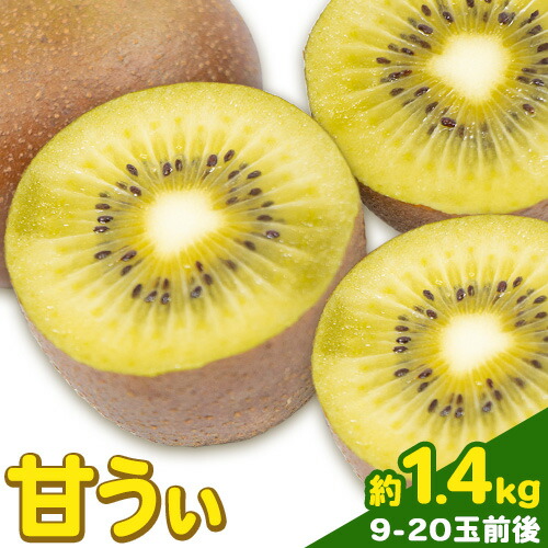【ふるさと納税】甘うぃ 約1.4kg 9-20玉前後《10月中旬-11月末頃出荷》福岡県 鞍手郡 小竹町 キウイフルーツ キウイ 福岡県オリジナル 新品種 甘うぃ 果物 くだもの フルーツ【配送不可地域あり】