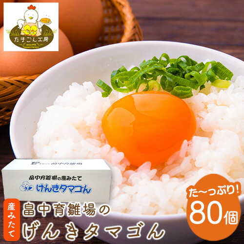 【ふるさと納税】畠中育雛場のげんきタマゴん 80個 《30日以内に出荷予定(土日祝除く)》福岡県 鞍手郡 小竹町 卵 送料無料 有限会社畠中育雛場
