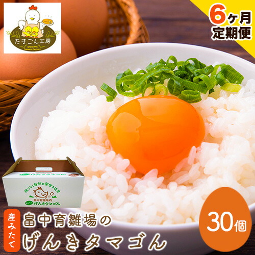 【ふるさと納税】【6ヶ月定期便】畠中育雛場のげんきタマゴん 30個 6回お届けで計180個！《お申込み月の翌月から出荷開始》福岡県 鞍手郡 小竹町 卵 送料無料 有限会社畠中育雛場 30,550円