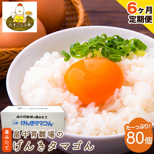 【ふるさと納税】【6ヶ月定期便】畠中育雛場のげんきタマゴん 80個 6回お届けで計480個！《お申込み月の翌月から出荷開始》福岡県 鞍手郡 小竹町 卵 送料無料 有限会社畠中育雛場