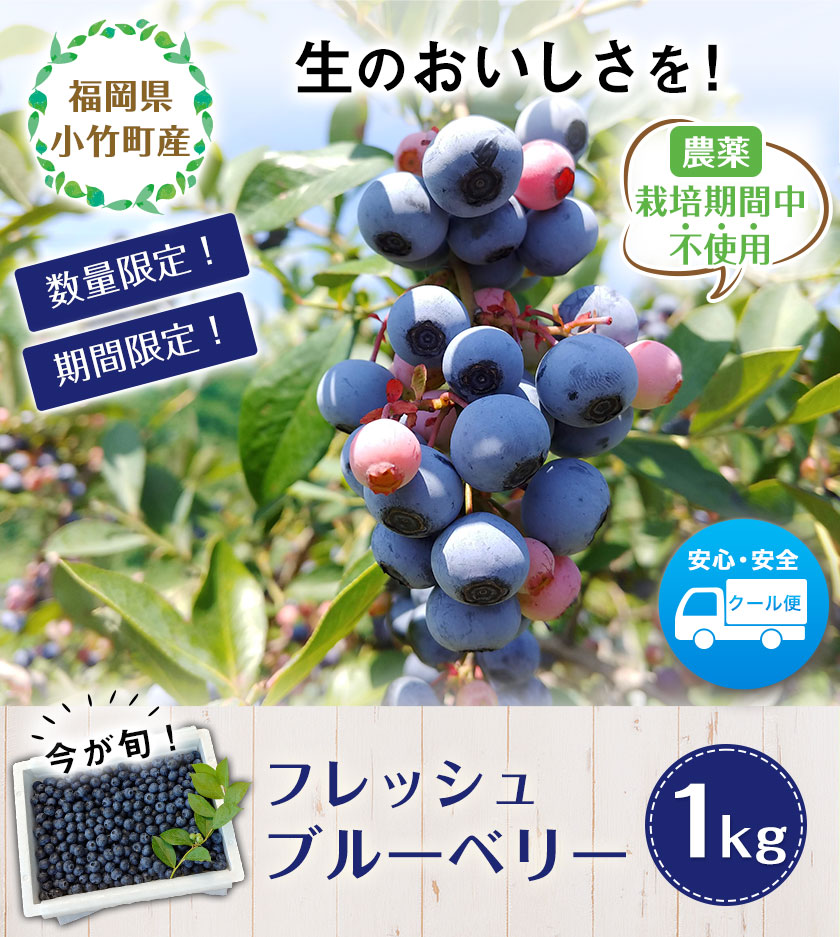 ふるさと納税 先行予約 国産 送料無料 期間限定 果物 ブルーベリー 生 フルーツ 1kg 数量限定
