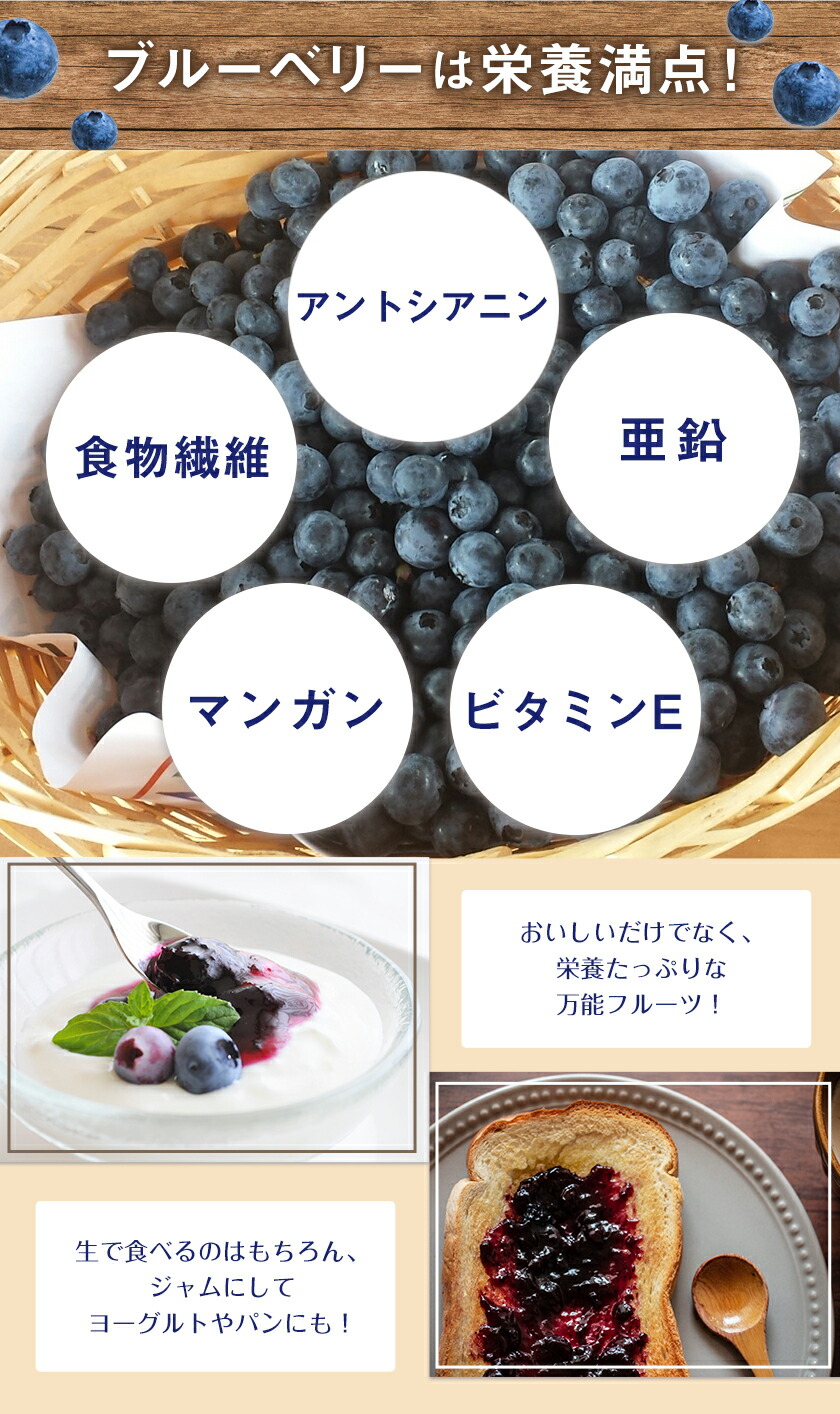 ふるさと納税 先行予約 国産 送料無料 期間限定 果物 ブルーベリー 生 フルーツ 1kg 数量限定