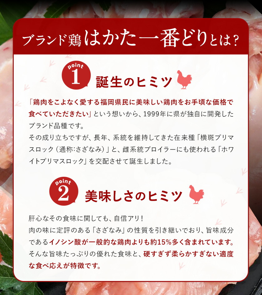 オープニング やきとり はかた一番どり 4種 焼鳥 冷凍 焼き鳥 鶏肉 もも むね ささみ ねぎま つくね 詰め合わせ 家庭用 レンジ 1800g  40本入 鳥肉 とり肉 《60日以内に順次出荷 土日祝除く 》 qdtek.vn