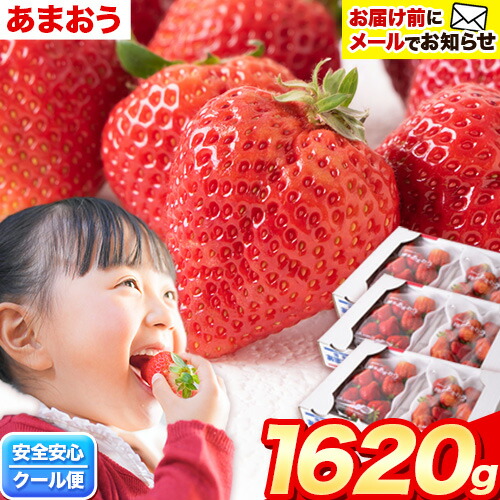 先行予約 福岡 あまおう いちご 1620g (約270g×6パック) 送料無料 フルーツ 《令和5年2月中旬-3月末頃より順次出荷》ふるさと納税いちご 鞍手郡 鞍手町 スムージー