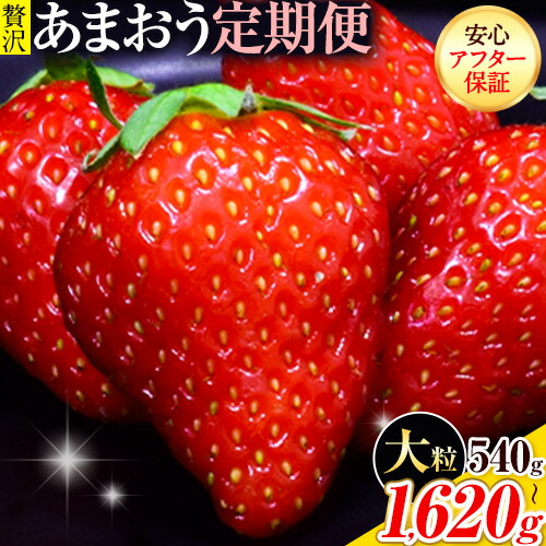 あまおう定期便