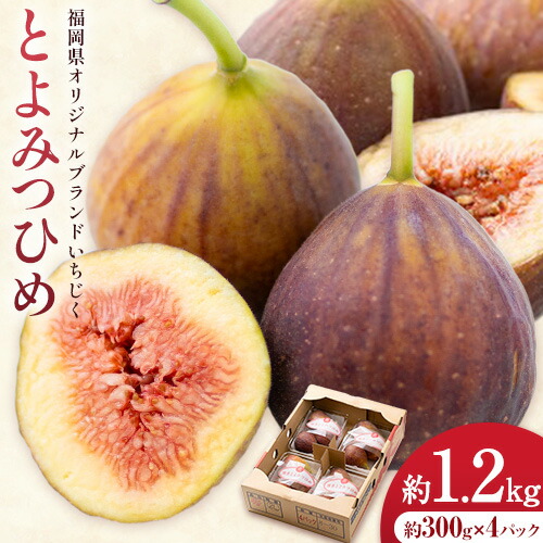 【ふるさと納税】いちじく 無花果 とよみつひめ 約1.2kg 約300g × 4パック 南国フルーツ株式会社《8月上旬-10月中頃出荷》福岡県 鞍手町 福岡県産 いちじく フルーツ 果物