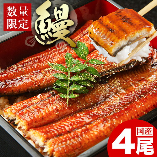 【ふるさと納税】うなぎ 鰻 福岡県産 鰻の蒲焼き 数量限定 4尾 560g 以上 HOMIE《45日以内に出荷予定(土日祝除く)》福岡県 鞍手郡 鞍手町 鰻 蒲焼き 数量限定 国産 蒲焼 うなぎ蒲焼 (1尾あたり140g-180g以上)