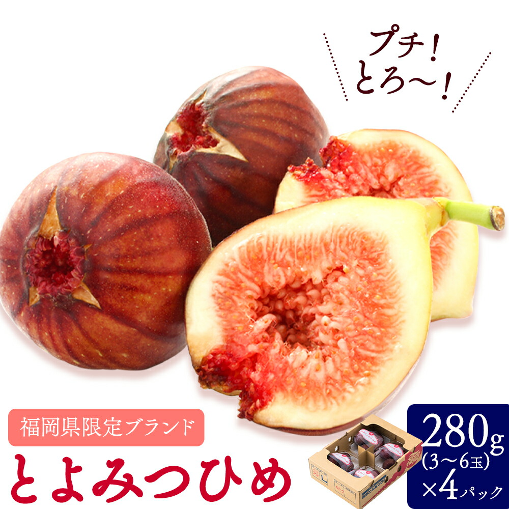 【ふるさと納税】いちじく 無花果 とよみつひめ 280g × 4パック 《8月中旬-10月中旬頃出荷》福岡県 鞍手町 福岡県産 いちじく フルーツ 果物