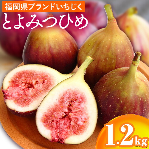 とよみつひめ