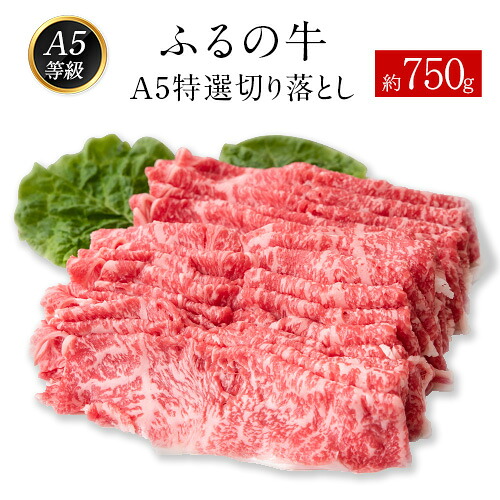 【ふるさと納税】ふるの牛(黒毛和牛)A5特選 切り落とし 750g 送料無料 A5 ミシュラン掲載《30日以内に順次出荷(土日祝除く)》ふるさと納税 A4~A5等級 黒毛和牛 切り落とし|福岡県鞍手町