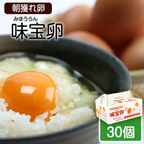 【ふるさと納税】朝獲れ卵 味宝卵 (30個) 卵 Lサイズ 送料無料 鶏卵《90日以内に順次出荷(土日祝除く)》