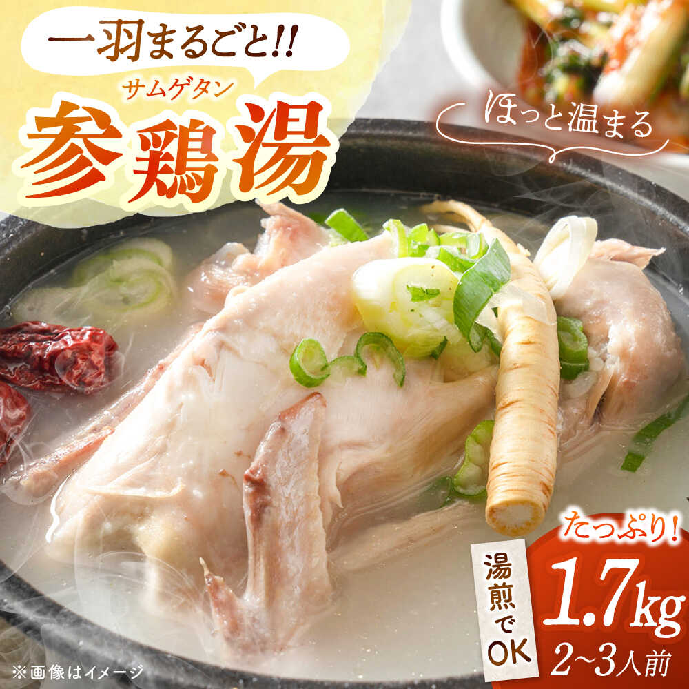 【ふるさと納税】参鶏湯（サムゲタン）1羽分 ▼ 参鶏湯 鍋 スープ 滋養強壮 優しい 人気 あっさり ヘルシー 鶏肉 簡単 便利 惣菜 レンチン アレンジ クッパ スタミナ にんにく 美味しい 高品質 韓国 桂川町/マルマツ産業株式会社[ADAE002] 10000円 以上 1万円 以上