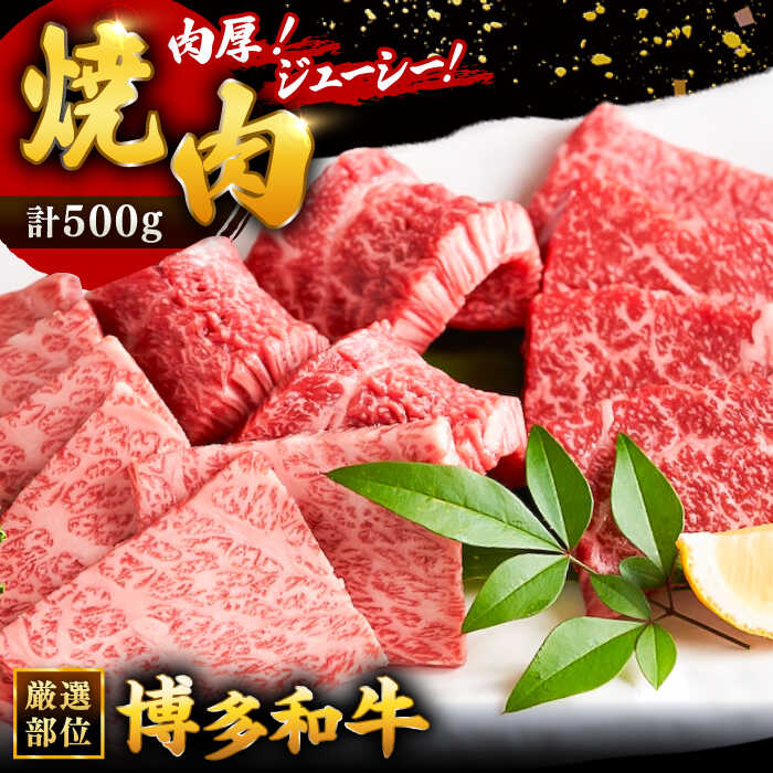 【ふるさと納税】博多和牛焼肉用 500g ▼国産 国産牛 博多 黒毛和牛 牛肉 焼き肉 焼肉 やきにく BBQ バーベキュー 牛丼 高品質 お祝い 御祝 お礼 お取り寄せ 桂川町/株式会社 MEAT PLUS[ADAQ009] 10000 以上 10000円 以上 1万円 以上