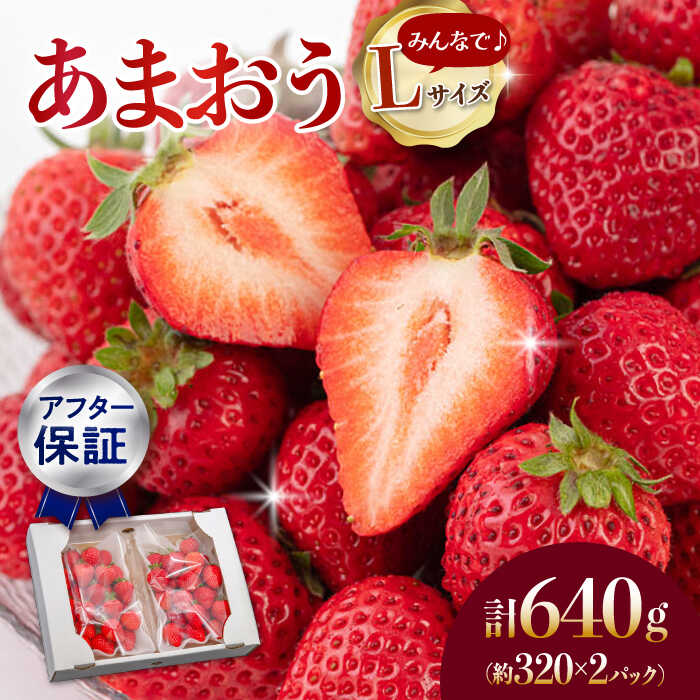 【ふるさと納税】【アフター保証】【1月上旬より順次配送】あまおう Lサイズ 約350g×2パック ▼あまおう いちごの王様 イチゴ 苺 甘い あまい 冷蔵 国産 生 ギフト贈り物 産地直送 新鮮 果物 高品質 桂川町/高嶋園芸[ADAT003] 10000 10000円