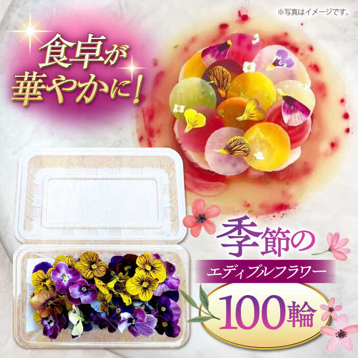 【ふるさと納税】季節のエディブルフラワー100輪おまかせ ▼ガーニッシュ 食用花 花 食べられる花 地域特産 装飾 料理 桂川町/NOGAMI FARM[ADAU002] 10000 以上 10000円 以上 1万円 以上