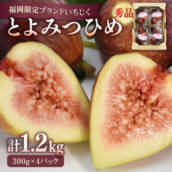 【ふるさと納税】【先行受付】【2025年8月発送開始】JAふくおか嘉穂 いちじく とよみつひめ 秀品 1.2kg イチジク 無花果 300g×4パック ▼ 国産  福岡限定 福岡 フルーツ 果物 いちぢく ギフト プレゼント 贈答 贈り物 桂川町/福岡嘉穂農業協同組合[ADAY001] 10000円 1万円