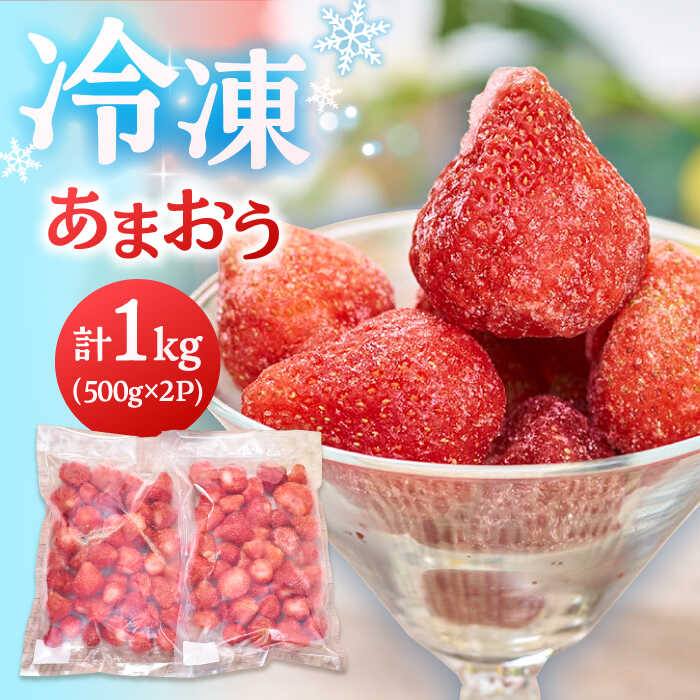 【ふるさと納税】福岡産 冷凍 あまおう 1kg （500g×2袋） ▼ 福岡 冷凍いちご 苺 イチゴ フルーツ 小分け 冷凍あまおう いちご  桂川町/南国フルーツ株式会社[ADBW005] 10000 10000円 1万円
