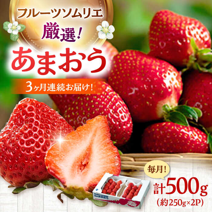 【ふるさと納税】【全3回定期便】福岡産【冬】あまおう2パック ▼ イチゴ  苺 福岡 あまおう 果物 フルーツ 定期便  桂川町/南国フルーツ株式会社[ADBW043]