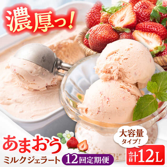 【ふるさと納税】【全12回定期便】【2026年4月以降発送】福岡産 あまおう ジェラート 1000ml ▼ イチゴ 苺 福岡 あまおう 果物 フルーツ アイス 定期便 桂川町/南国フルーツ株式会社[ADBW050] 150000 以上 150000円 以上 15万円 以上