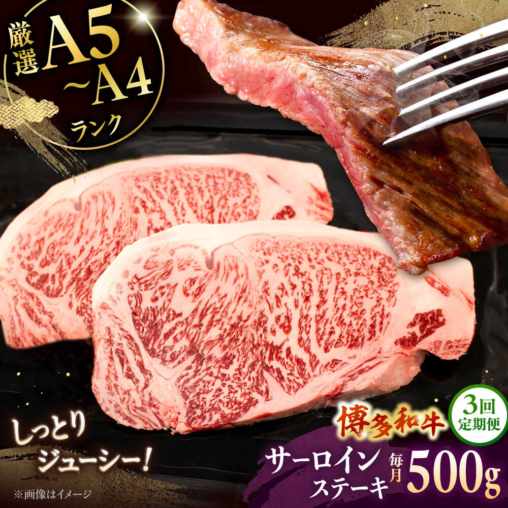 【春】21043o 袋帯　オリジナル　太鼓柄　花と鳥　パンダ　パンダ好き　着物 春】21043o 袋帯 オリジナル 太鼓柄 花と鳥 パンダ パンダ好き 着物 春