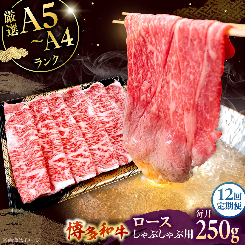 【ふるさと納税】【全12回定期便】【数量限定 博多和牛】ロース しゃぶしゃぶ用 250g ▼ 牛肉 博多 和牛 極上 バーベキュー ブランド 国産 高級 特別 上質 桂川町/株式会社チクゼンヤ[ADBZ044] 140000 以下 140000円 以下 14万円 以下