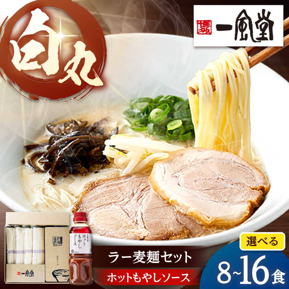 【ふるさと納税】ラー麦使用「一風堂」とんこつラーメン 白丸合計8～16食セット【ホットもやしソース付き】 ▼一風堂 ラーメン らーめん とんこつ 豚骨 豚骨ラーメン セット 桂川町/博多漁師の里[ADCA005] 10000 以上 10000円 以上 1万円 以上