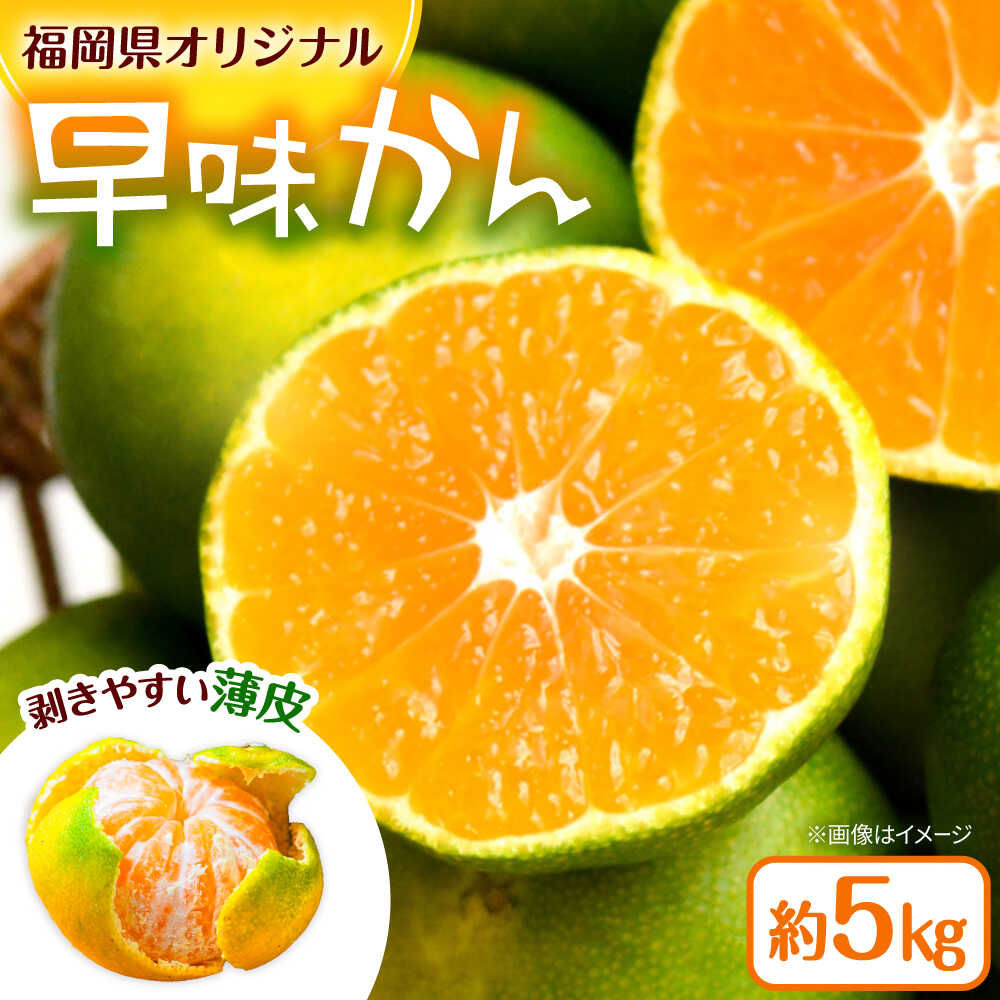 【ふるさと納税】福岡県オリジナル品種極早生みかん『早味かん』約５kg／2026年9月頃より発送予定　 ▼みかん ミカン 蜜柑 フルーツ 果物 くだもの 先行予約 先行受付 福岡 　桂川町/一般社団法人地域商社ふるさぽ[ADCF014]