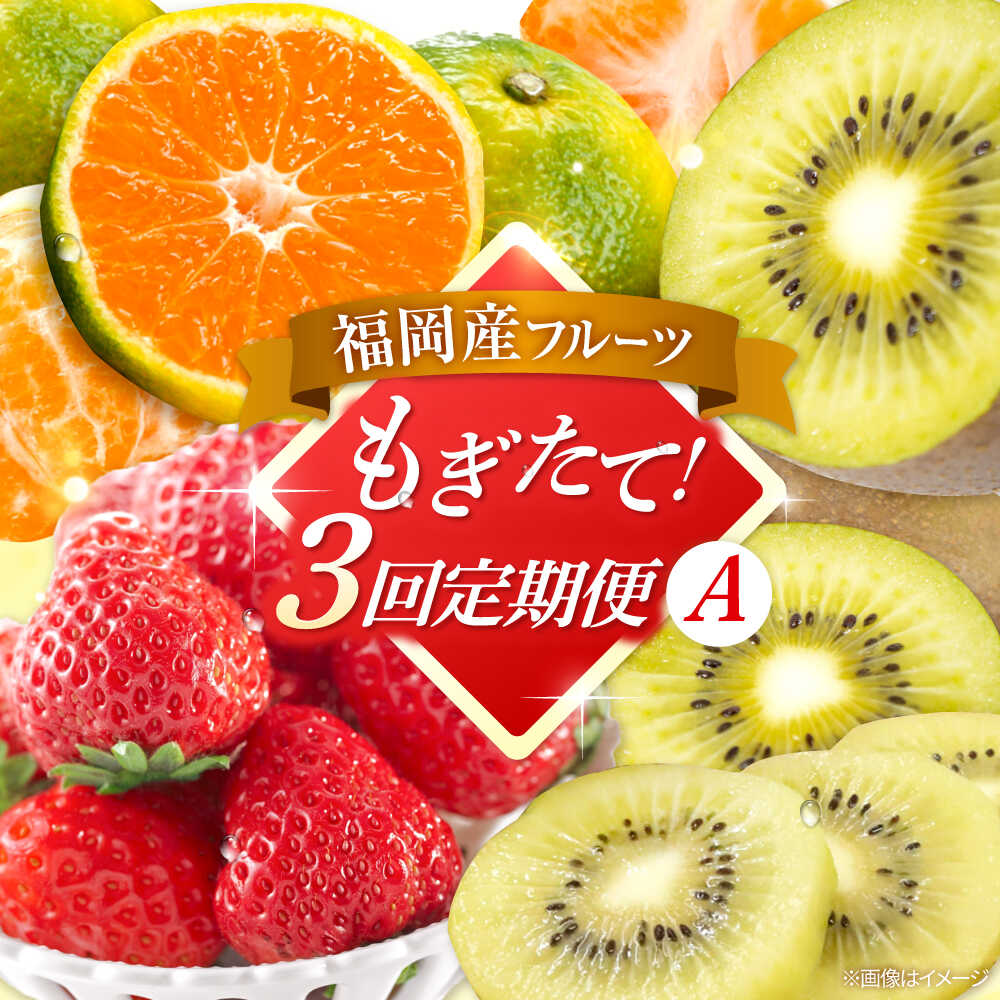 【ふるさと納税】【全3回定期便】九州・福岡もぎたて フルーツ定期便 A　桂川町/一般社団法人地域商社ふるさぽ[ADCF017]