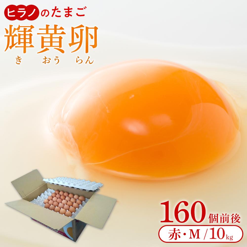 【ふるさと納税】＼最短７営業日以内発送／＜ヒラノのたまご＞輝黄卵(きおうらん) 赤Mサイズ10kg(160個前後) | 卵 たまご タマゴ 鶏卵 生卵 新鮮 濃厚 卵かけご飯 朝食 料理 人気 美味しい 筑前町産 楽天ふるさと納税 おすすめ 送料無料