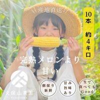 【ふるさと納税】＜2025年6月発送＞【完熟メロンのように甘い】朝採り!スイートコーン　約4kg（8～10本）【プレゼントにもオススメ】 | 野菜 やさい 食品 人気 おすすめ 送料無料