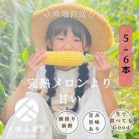 【ふるさと納税】＜2025年6月発送＞完熟メロンのように甘い朝採り!スイートコーン約5本　ちょっと食べてみたい方におすすめ!(約2kg) | 野菜 やさい 食品 人気 おすすめ 送料無料