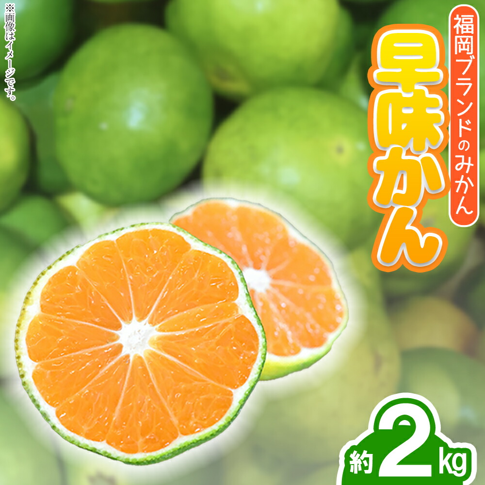 【ふるさと納税】 福岡ブランドみかん・早味かん約2kg 果物 くだもの フルーツ  送料無料  福岡 東峰 東峰村　 3V16