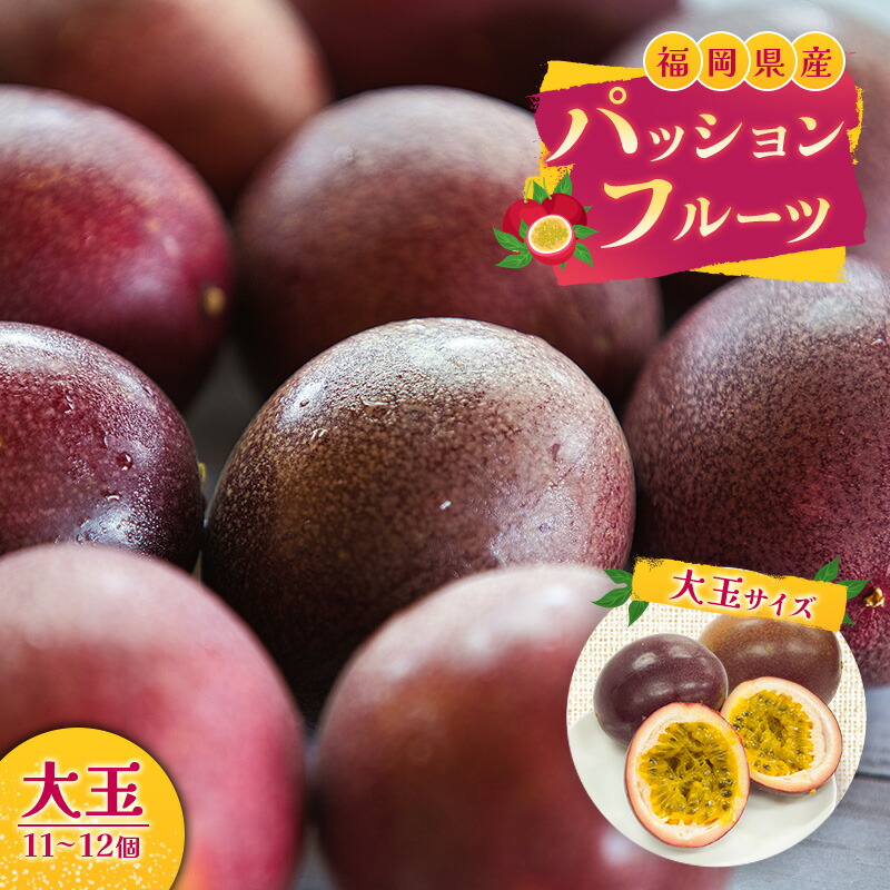 【ふるさと納税】福岡県産 パッションフルーツ 大玉 11～12個 果物 フルーツ ※配送不可:離島　お届け：2025年7月上旬～8月下旬まで