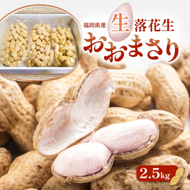 【ふるさと納税】落花生 福岡県産 生落花生 おおまさり 2.5kg ※配送不可:離島 お届け:2026年9月上旬~10月下旬まで|福岡県大刀洗町