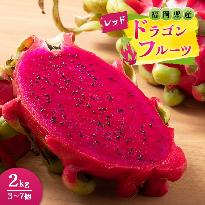 【ふるさと納税】福岡県産 ドラゴンフルーツ レッド 2kg (3～7個) 果物 フルーツ ※配送不可:離島　お届け：2025年8月中旬～10月下旬まで