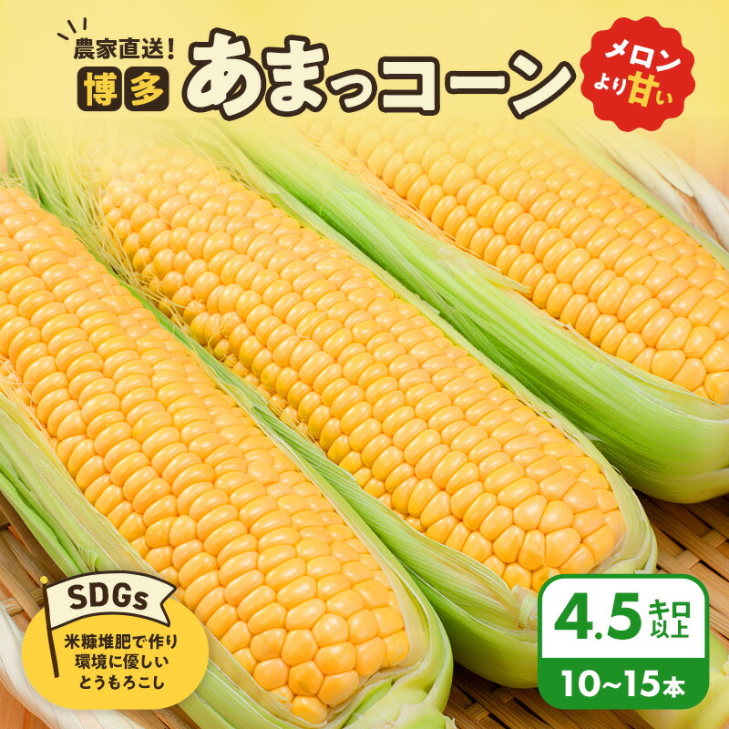 【ふるさと納税】とうもろこし 農家直送！SDGs米糠堆肥で作った環境に優しいメロンより甘い 博多あまっコーン 4.5キロ以上 (10～15本) /酒見農産/トウモロコシ ※配送不可：離島　お届け：2025年6月1日～7月31日まで