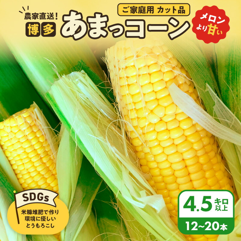 【ふるさと納税】とうもろこし 農家直送！SDGs米糠堆肥で作った環境に優しいメロンより甘い 博多あまっコーン ご家庭用 カット品 4.5キロ以上 (12～20本) /酒見農産/トウモロコシ ※配送不可：離島　お届け：2025年6月1日～7月31日まで