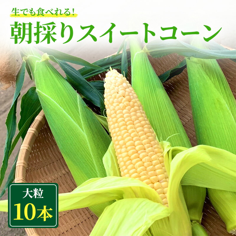 【ふるさと納税】朝採り スイートコーン (10本入) とうもろこし ※離島配送不可　お届け：2025年6月初旬～2025年6月下旬まで